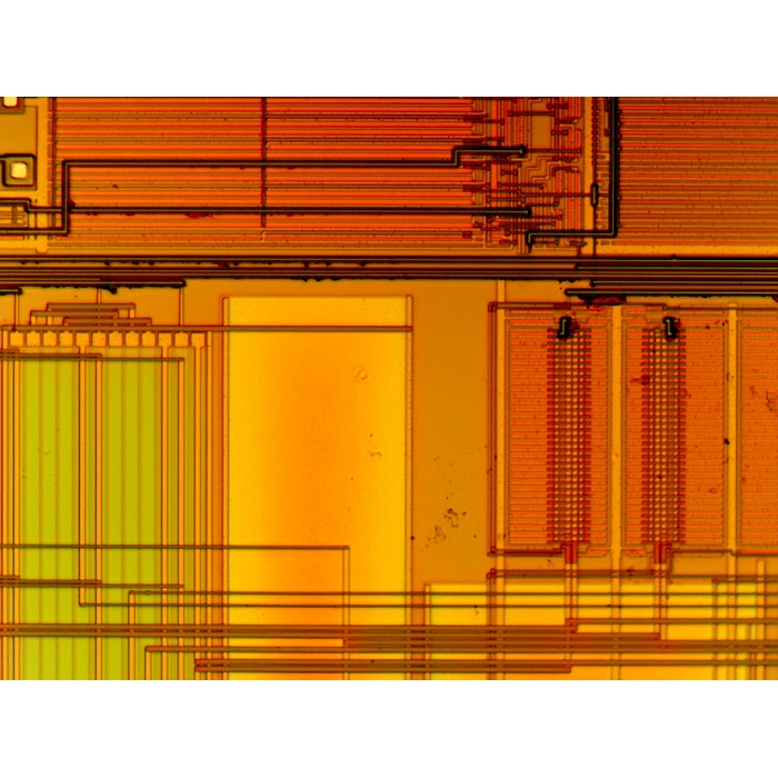 Mikroskop metalograficzny Delta Optical MET-200-RF