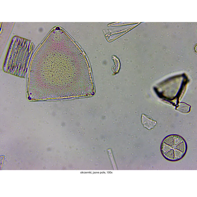 Mikroskop Delta Optical Genetic Pro Bino