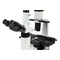 Mikroskop odwrócony Delta Optical IB-100