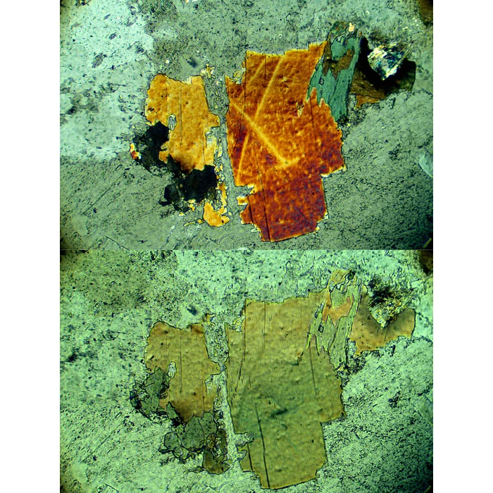 Mikroskop polaryzacyjny Delta Optical POL-1000-TRF