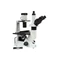 Mikroskop odwrócony Delta Optical IB-100 LED