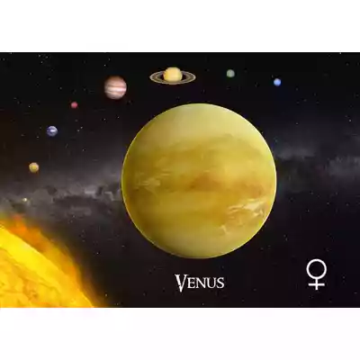 Pocztówka &quot;Venus&quot;