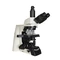 Mikroskop Nexcope NE930