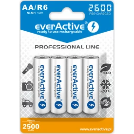 Akumulator everActive 2600 professional line