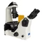 Mikroskop Nexcope NIB620FL