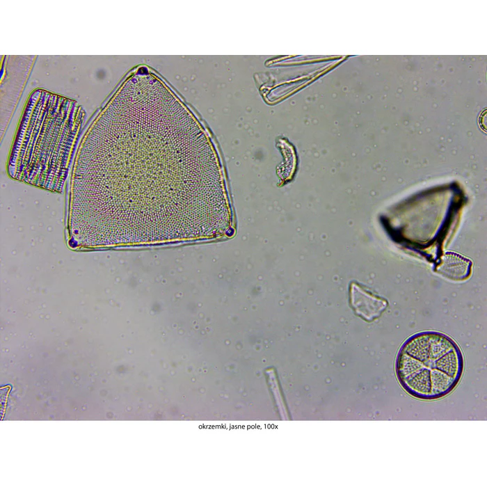 Mikroskop Delta Optical Genetic Pro z kamerą