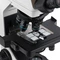 Mikroskop Nexcope NE700