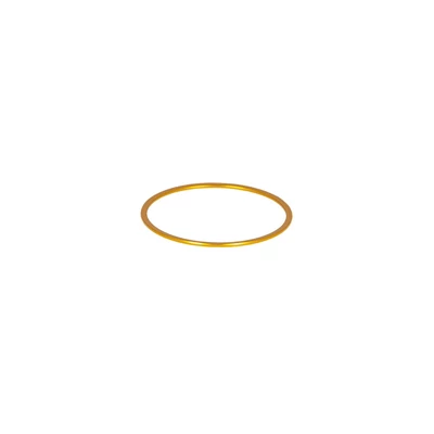 Pierścień Baader T2 1mm (złoty)