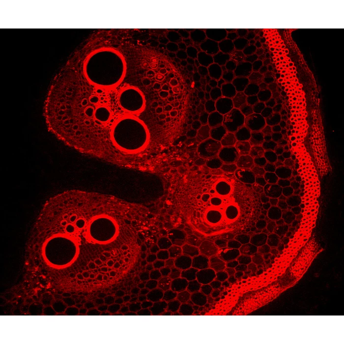 Zestaw do epifluorescencji do mikroskopu L-1000